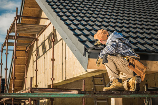 Best Skylight Installation and Repair  in Black Forest, CO
