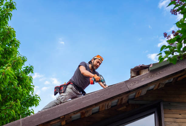 Best Roof Leak Repair  in Black Forest, CO