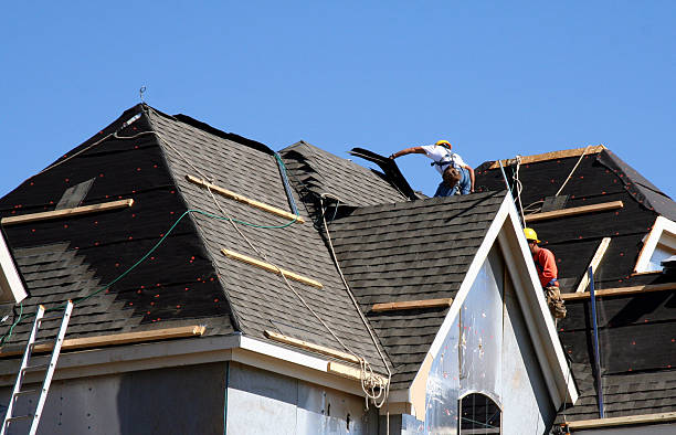 Best Roof Ventilation Installation  in Black Forest, CO