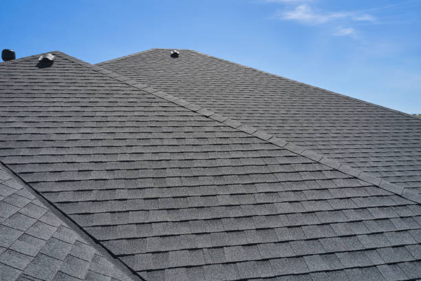 Best Roof Moss and Algae Removal  in Black Forest, CO